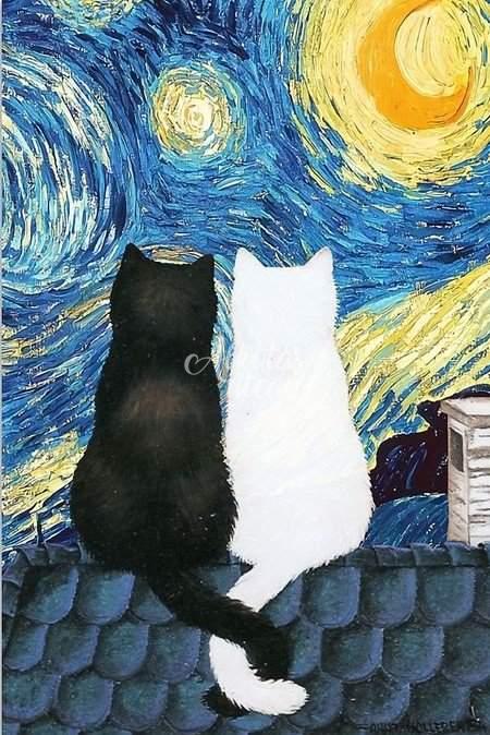 Cats during the starry night