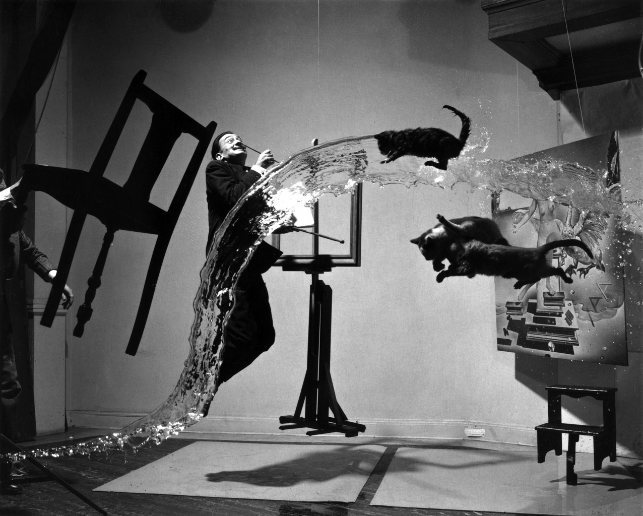 Philippe Halsman fotós egyik leghíresebb portréja, a Dalí Atomicus, Salvador Dalít ábrázolja, repülő macskákkal. 