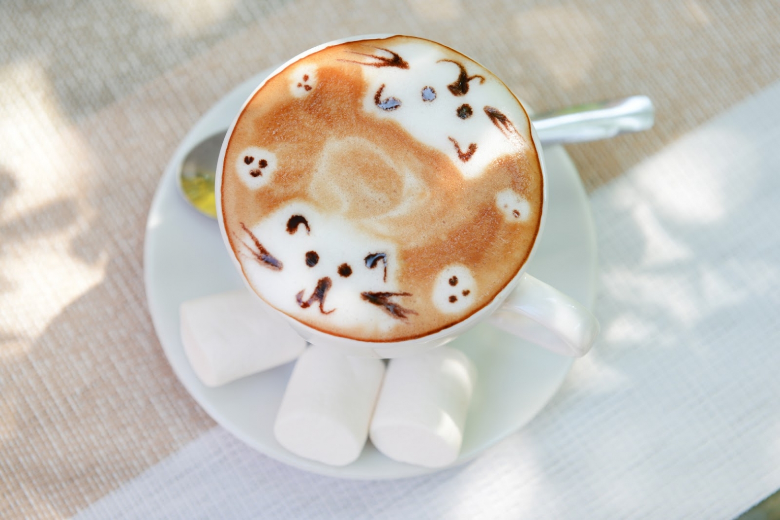 Latte art - alkotás tejhabból