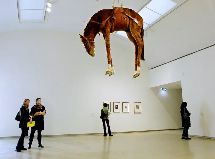 Maurizio Cattelan, plafonról lelógó ló, installáció
