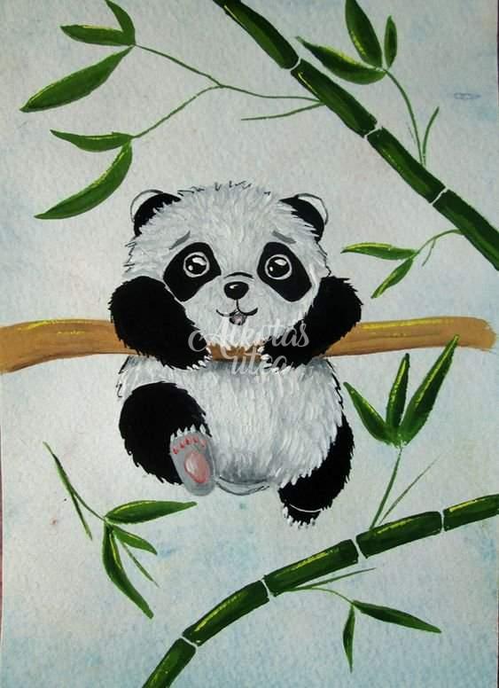 Panda bear