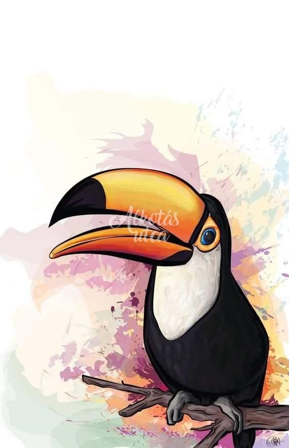 toucan