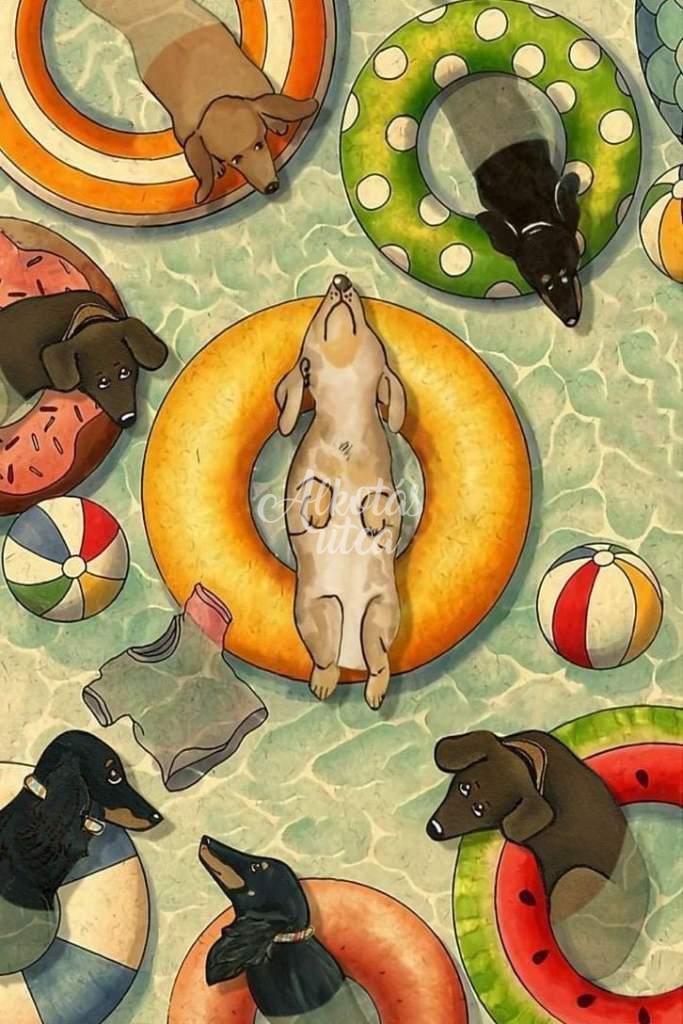 Dog vacation