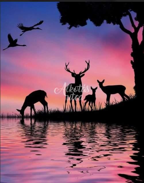 Deer in the sunset