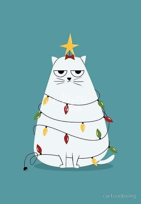 Karácsonyi cica